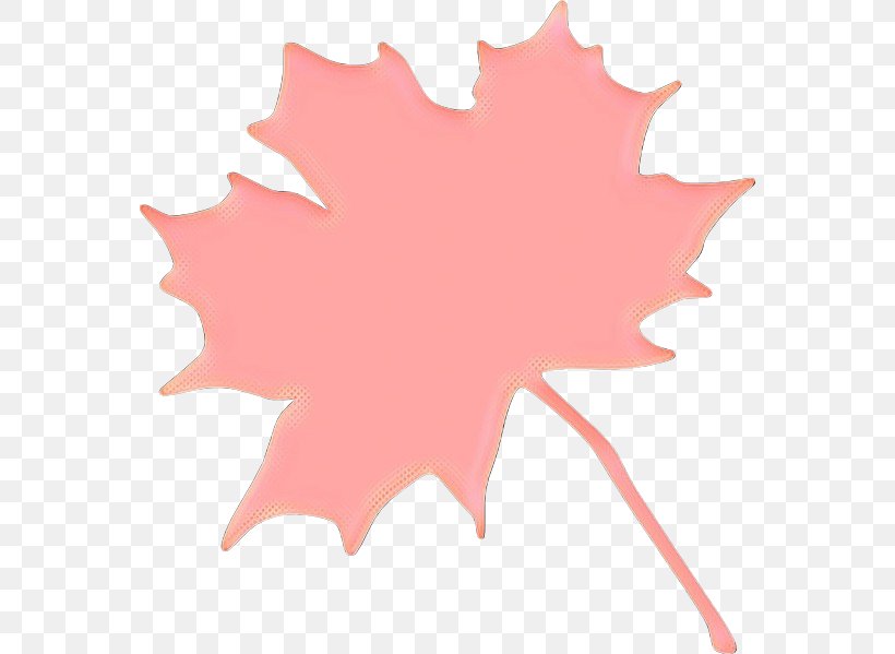 Canada Maple Leaf, PNG, 564x599px, Maple Leaf, Autumn Leaf Color, Canada, Canadian Gold Maple Leaf, Leaf Download Free