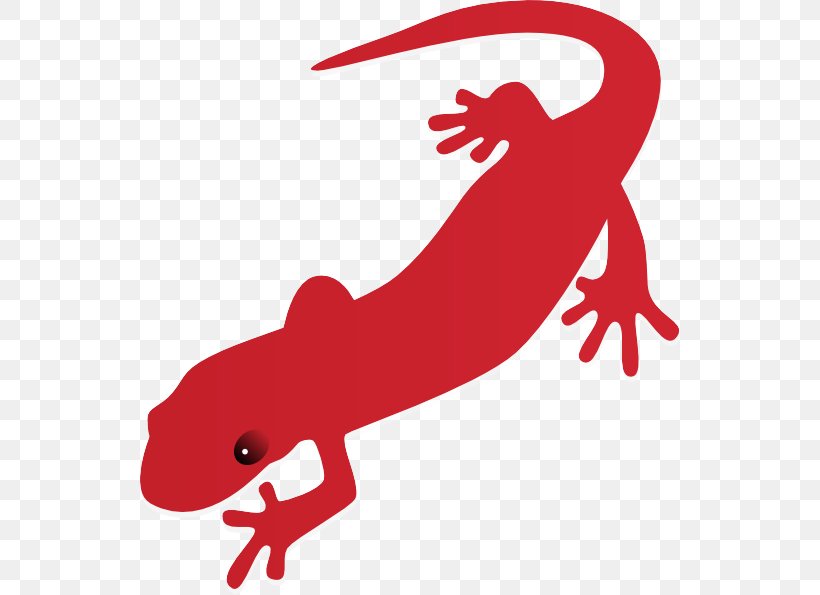 Clip Art Gecko True Salamanders And Newts Lizard Newt, PNG, 540x595px, Gecko, Lizard, Newt, Reptile, Salamander Download Free