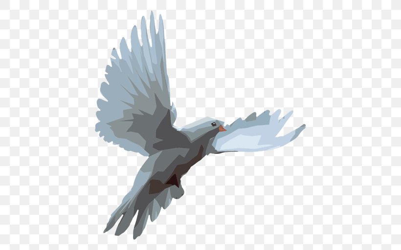 Columbidae Domestic Pigeon, PNG, 512x512px, Columbidae, Accipitriformes, Beak, Bird, Bird Of Prey Download Free