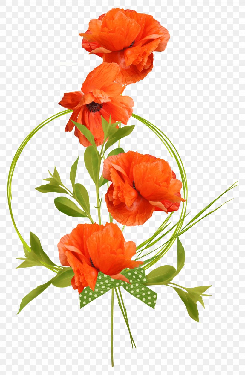 Poppy Graphic Designer Flower, PNG, 2600x3978px, Poppy, Coquelicot, Cut Flowers, Digital Image, Floral Design Download Free