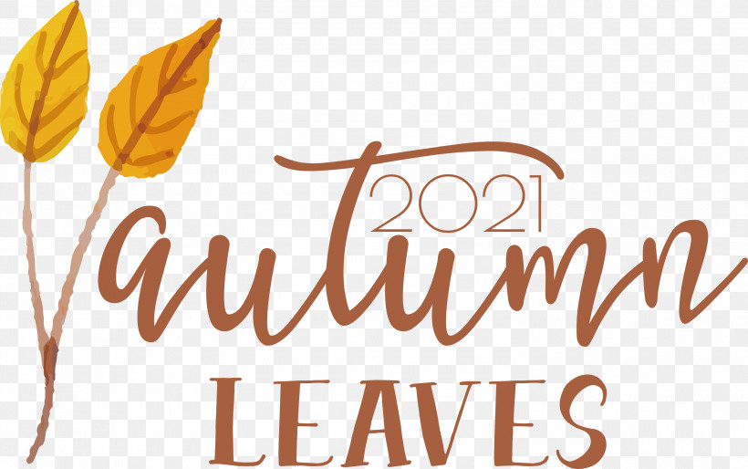 Autumn Leaves Autumn Fall, PNG, 3000x1882px, Autumn Leaves, Autumn, Fall, Flower, Leaf Download Free