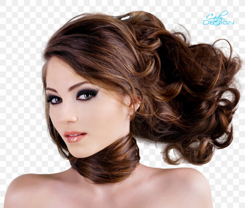 Desktop Wallpaper Display Resolution Hair Iron High-definition Television Wallpaper, PNG, 2061x1756px, Display Resolution, Black Hair, Brown Hair, Chin, Fiber Download Free