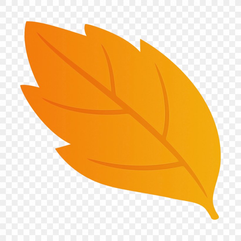 Orange, PNG, 1200x1200px, Leaf, Logo, Orange, Plant, Tree Download Free
