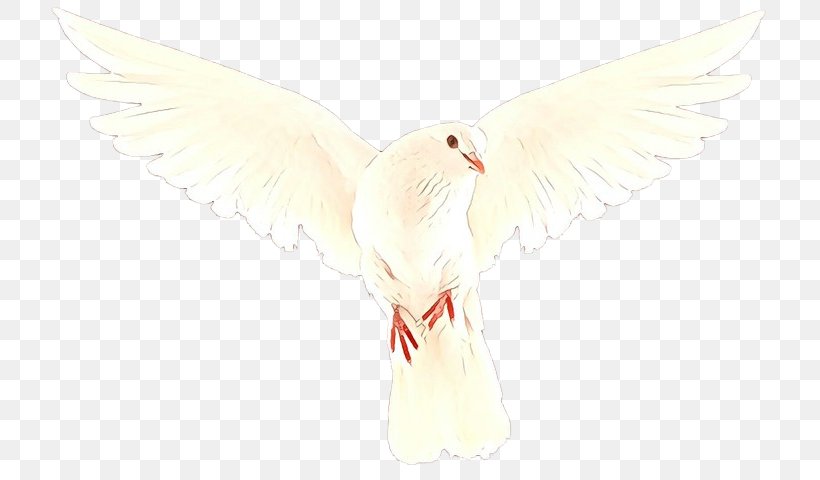 Angel Cartoon, PNG, 750x480px, Beak, Angel, Bird, Feather, Pigeons And Doves Download Free