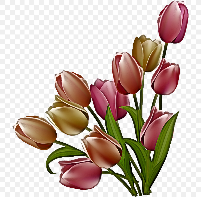 Artificial Flower, PNG, 718x800px, Tulip, Artificial Flower, Bouquet, Bud, Crocus Download Free