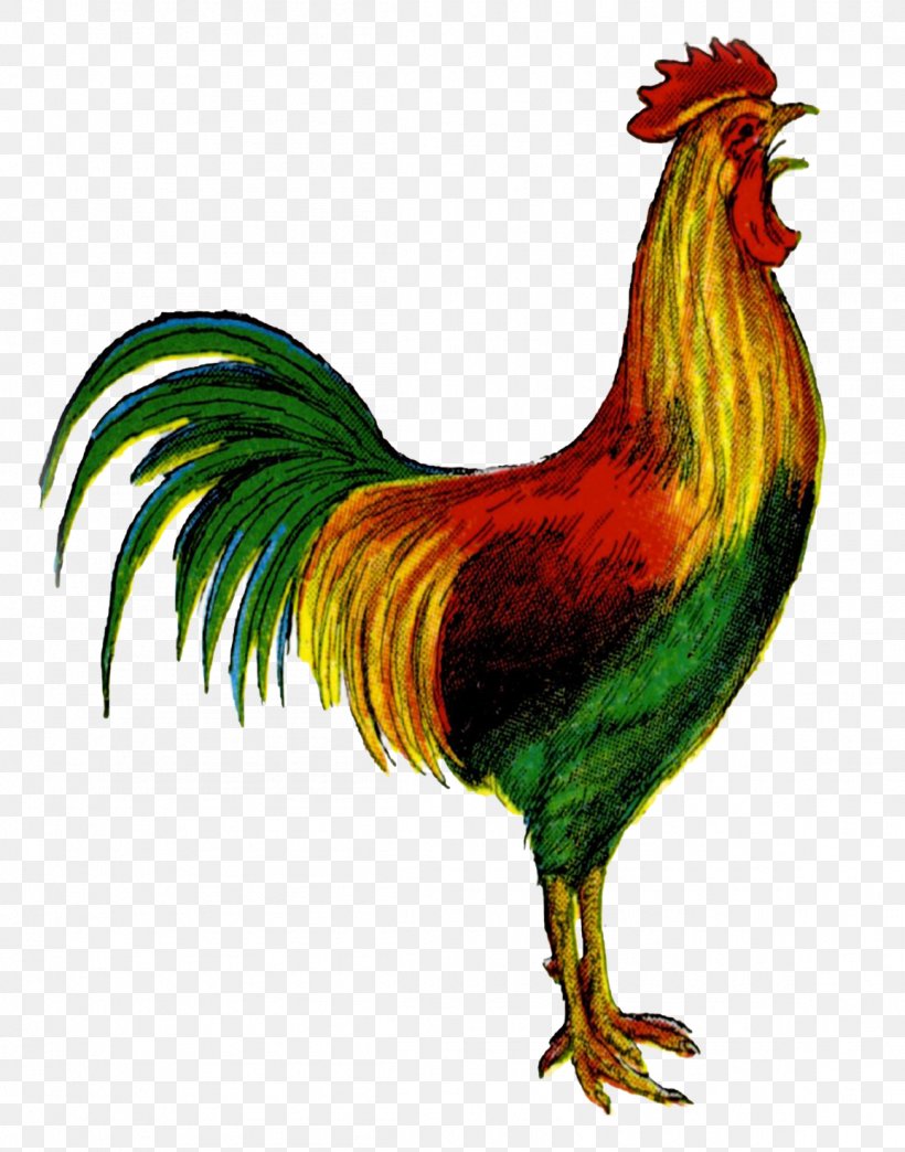 Clip Art Rooster Image Openclipart Graphics, PNG, 1156x1472px, Rooster, Beak, Bird, Chicken, Cursillo Download Free