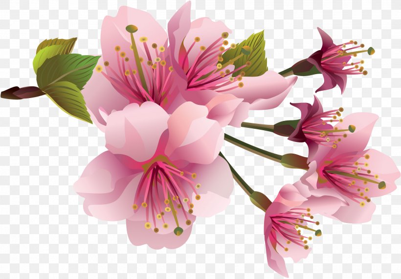 Flower Cherry Blossom Clip Art, PNG, 2632x1836px, Flower, Alstroemeriaceae, Artificial Flower, Blossom, Cherry Blossom Download Free