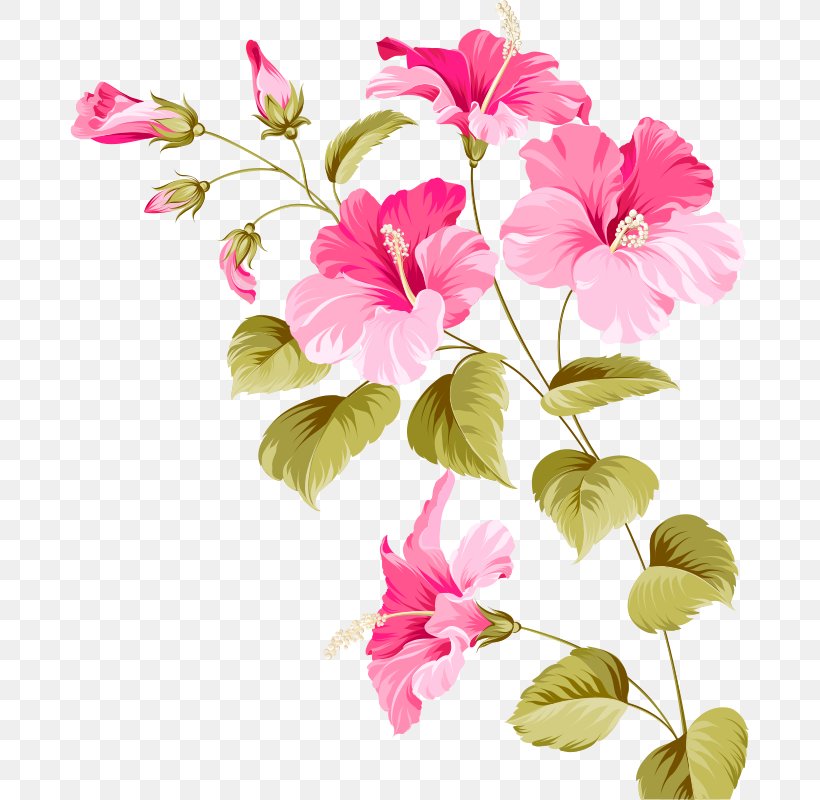 Flower Hibiscus Euclidean Vector Plant, PNG, 680x800px, Royalty Free, Art, Blossom, Branch, Cherry Blossom Download Free