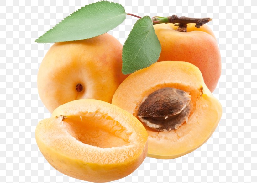 Juice Apricot Fruit Food, PNG, 600x583px, Peach, Apricot, Apricot Kernel, Dried Apricot, Food Download Free
