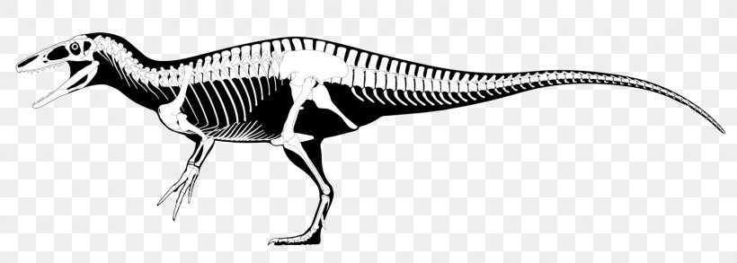 Megaraptor Australovenator Fukuiraptor Tyrannosaurus Dinosaur, PNG, 1600x573px, Megaraptor, Aerosteon, Amniote, Animal, Animal Figure Download Free