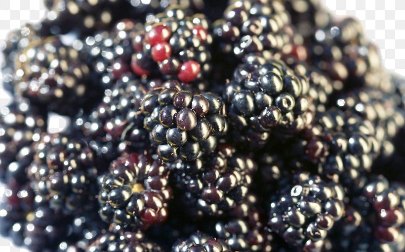 Tea Frutti Di Bosco Food Fruit Defecation, PNG, 2560x1600px, Tea, Berry, Black Tea, Blackberry, Boysenberry Download Free