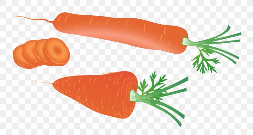 Carrot Cake Clip Art Dressed Herring, PNG, 1488x800px, Carrot, Baby Carrot, Carrot Cake, Dressed Herring, Food Download Free