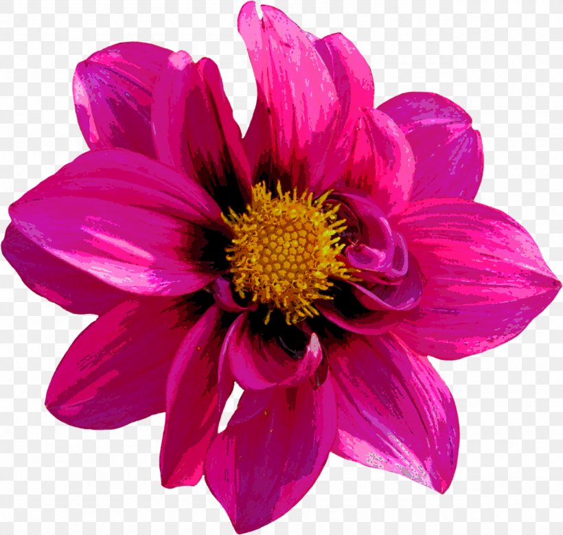 Dahlia Image File Formats Red, PNG, 1280x1217px, Dahlia, Annual Plant, Chrysanths, Color, Cut Flowers Download Free