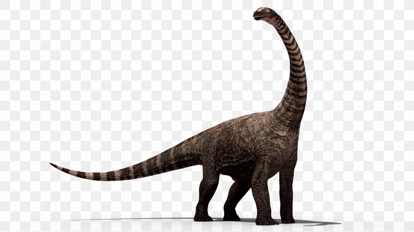 Dinosaur Stegosaurus, PNG, 1920x1080px, Tyrannosaurus, Australovenator, Dinosaur, Dinosaur Fossils, Fauna Download Free