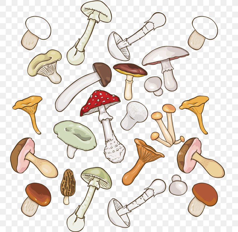 Mushroom Fungus Clip Art, PNG, 800x800px, Mushroom, Artwork, Fungus, Gratis, Organism Download Free