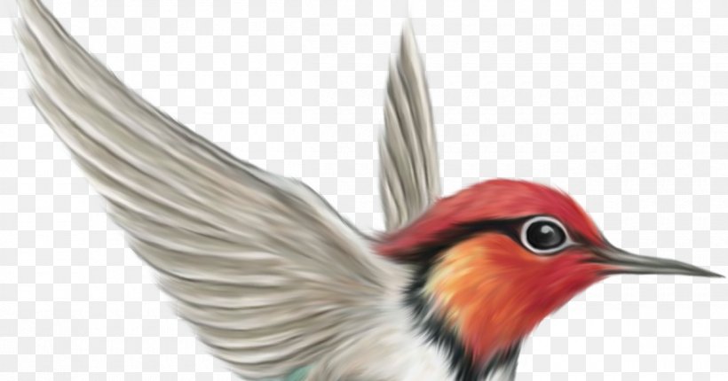 Bird Clip Art, PNG, 1200x630px, Bird, Beak, Document, Fauna, Feather Download Free