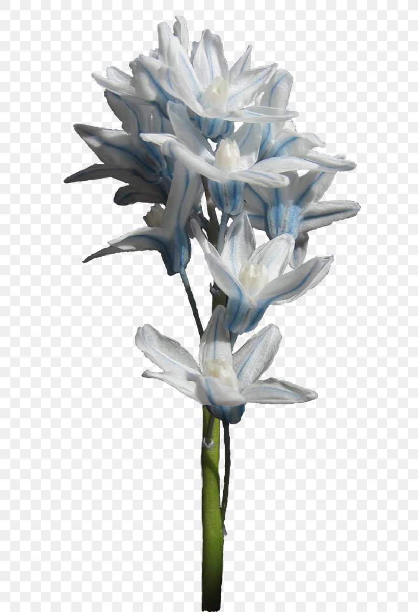 Cut Flowers Hyacinthus Orientalis Clip Art, PNG, 654x1200px, Cut Flowers, Art, Botany, Flora, Flower Download Free