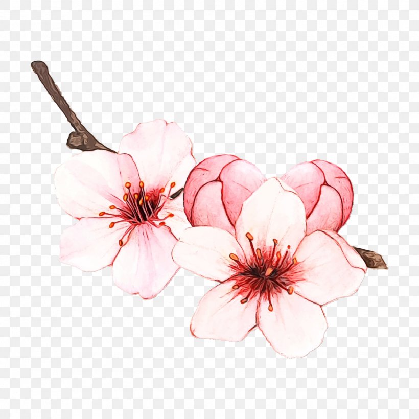 Drawing Of Family, PNG, 1628x1628px, Drawing, Blossom, Branch, Cherry Blossom, Flower Download Free