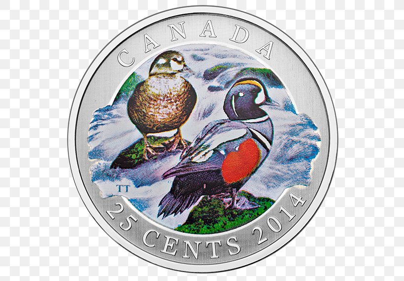 Duck Coin Quarter Cent Royal Canadian Mint, PNG, 570x570px, Duck, Anatidae, Bird, Canadian Dollar, Cent Download Free