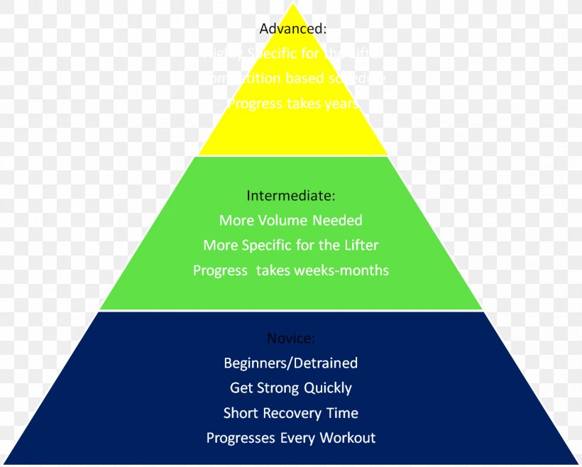 Lakeshore Equipment Company Inc Triangle Training Christmas Tree, PNG, 1268x1018px, Lakeshore Equipment Company Inc, Area, Barbell, Brand, Christmas Download Free