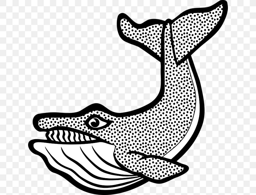 Las Ballenas Drawing Illustration Cetacea Mammal, PNG, 640x626px, Drawing, Art, Artwork, Black, Black And White Download Free
