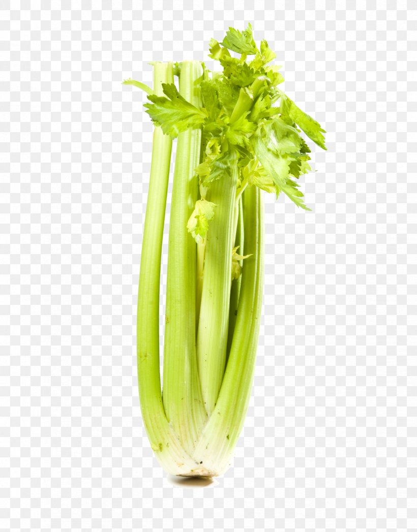 Wild Celery Leaf Vegetable Food, PNG, 1226x1566px, Celery, Color, Fennel, Flowerpot, Food Download Free