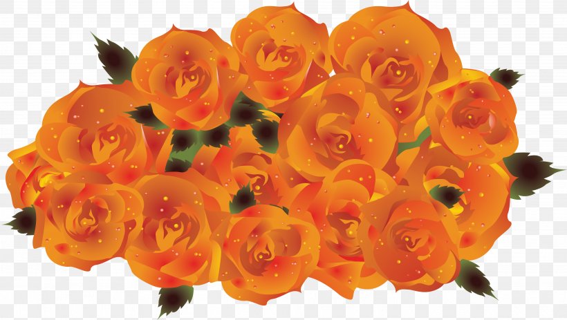 Garden Roses Orange Petal Clip Art, PNG, 4034x2281px, Garden Roses, Cut Flowers, Floristry, Flower, Flower Bouquet Download Free