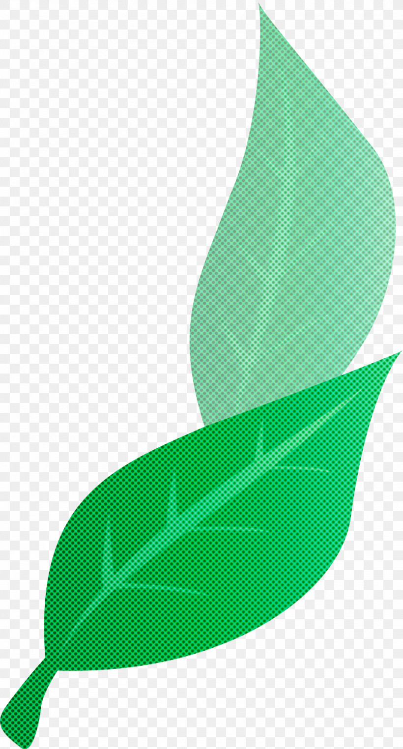 Maple Leaf, PNG, 1613x2998px, Leaf, Biology, Green, Holly, M095 Download Free