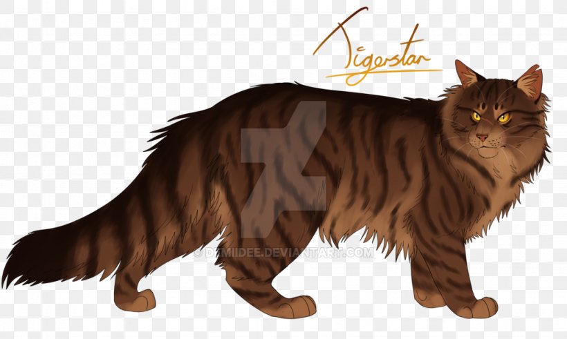 Warriors Cat Tigerstar The Rise Of Scourge, PNG, 1024x614px, Warriors, Asian, Asian Semi Longhair, California Spangled, Carnivoran Download Free