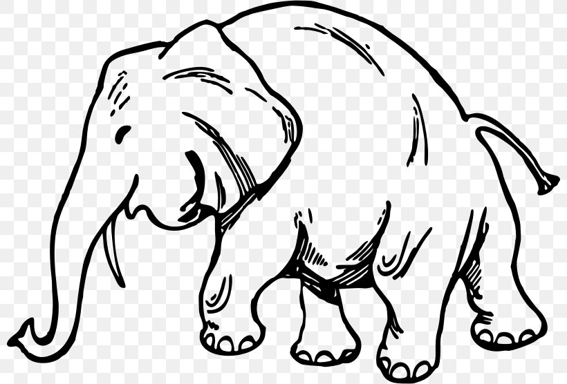 Whiskers Drawing Elephant Mammoth, PNG, 800x556px, Watercolor, Cartoon, Flower, Frame, Heart Download Free
