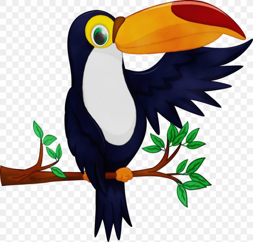 Bird Toucan Beak Piciformes, PNG, 1000x958px, Watercolor, Beak, Bird, Paint, Piciformes Download Free