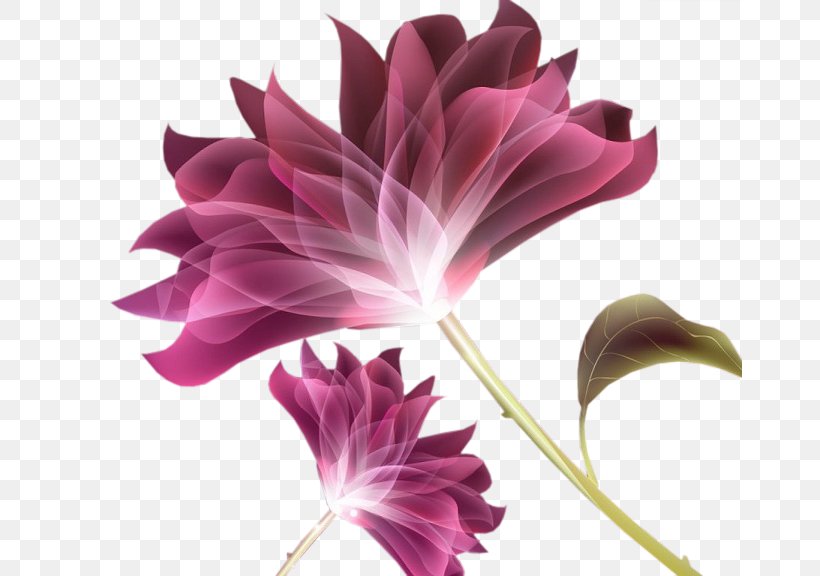 Cut Flowers Petal Rose Pink, PNG, 665x576px, Flower, Blue Rose, Cut Flowers, Flora, Floral Design Download Free