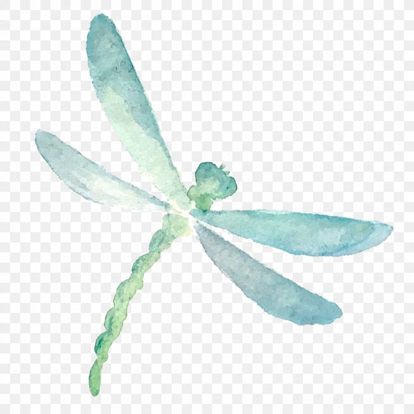Feather, PNG, 1024x1024px, Dragonflies And Damseflies, Dragonfly, Fashion Accessory, Feather, Green Download Free