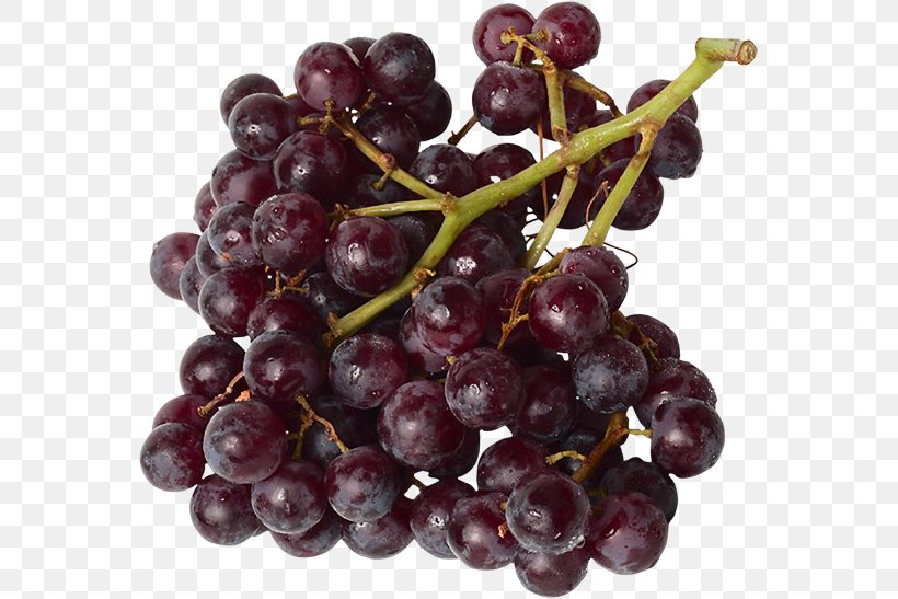 Grape Longman Dictionary Of Contemporary English Seedless Fruit Carménère Red Globe, PNG, 565x547px, Grape, Berry, Chilean Wine, Definition, Dictionary Download Free