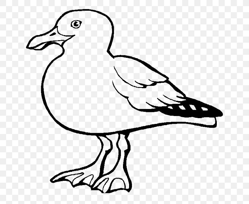 Gulls Bird European Herring Gull California Gull Coloring Book, PNG, 650x670px, Gulls, American Herring Gull, Area, Art, Artwork Download Free