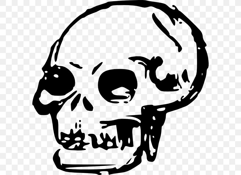 Skull Human Skeleton Clip Art, PNG, 600x595px, Skull, Artwork, Black And White, Bone, Drawing Download Free