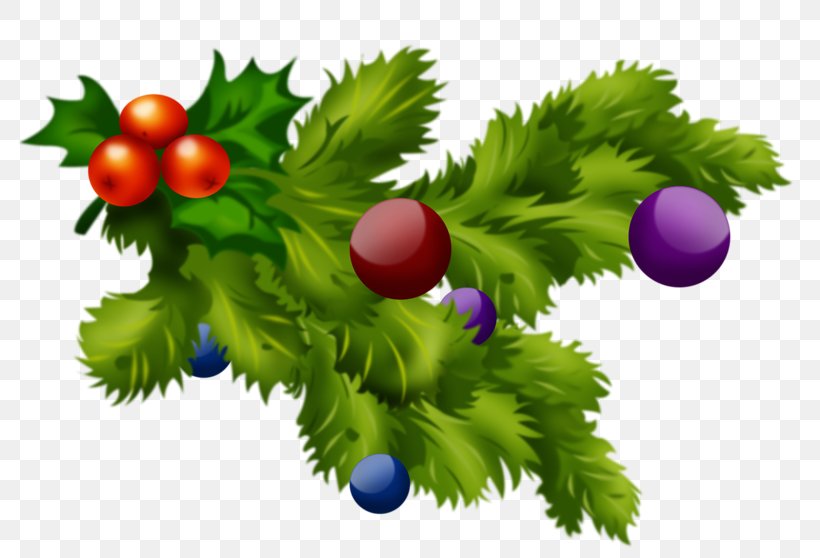 Christmas Desktop Wallpaper Clip Art, PNG, 800x558px, Christmas, Branch, Christmas Plants, Drawing, Food Download Free