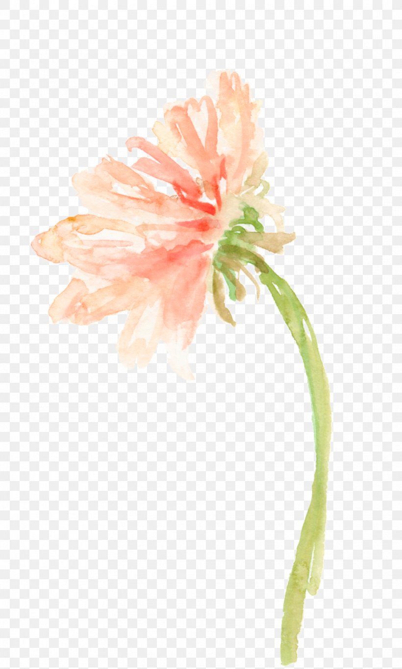 Fine-art Photography Watercolor Painting, PNG, 962x1600px, Photography, Art, Carnation, Cut Flowers, Drawing Download Free