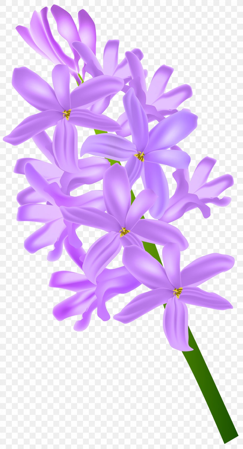 Flower Violet Plant Clip Art, PNG, 3247x6000px, Flower, Cut Flowers, Daffodil, Flora, Flowering Plant Download Free