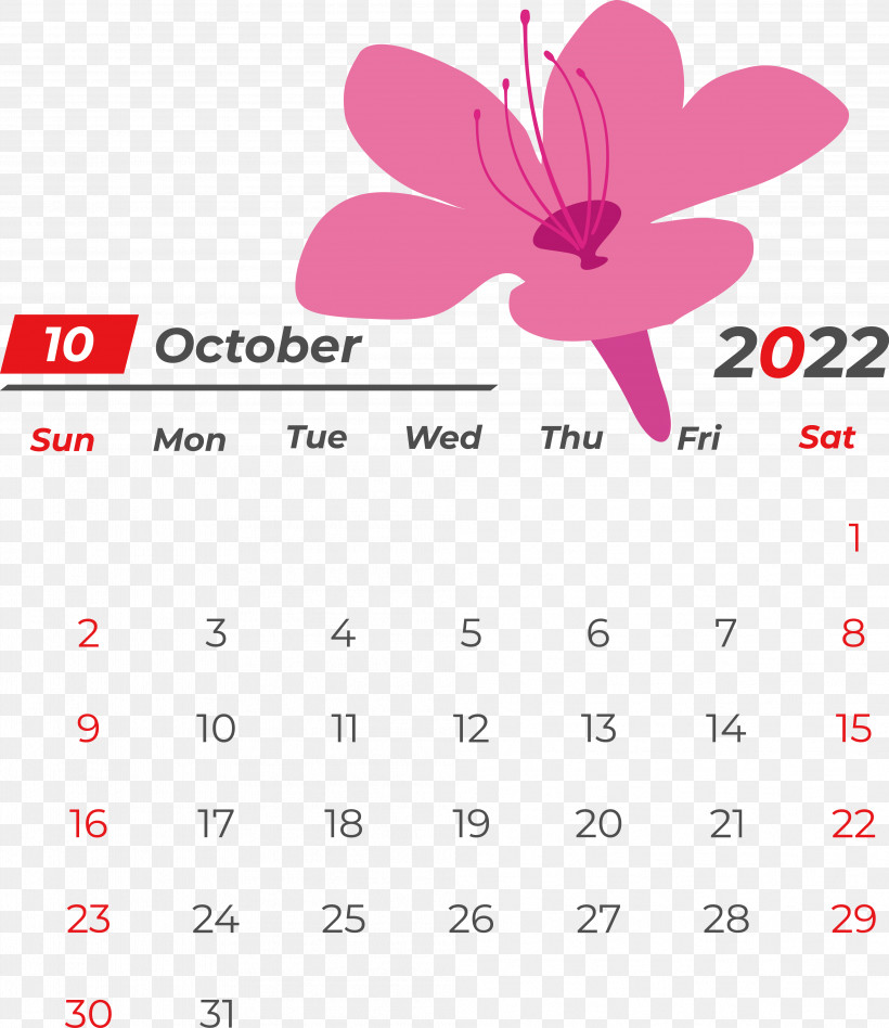 Line Calendar Flower Petal Magenta, PNG, 3974x4597px, Line, Calendar, Flower, Geometry, Magenta Download Free
