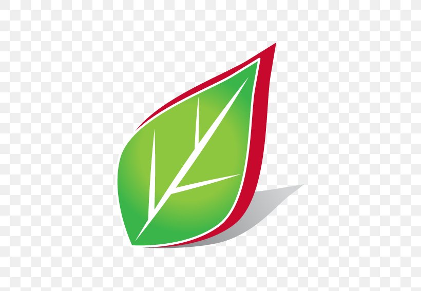 Logo Brand Leaf, PNG, 567x567px, Logo, Brand, Grass, Green, Leaf Download Free
