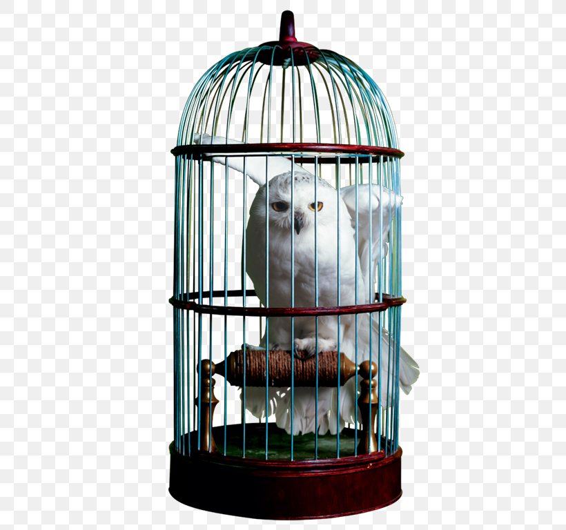 The Wizarding World Of Harry Potter Cage Hedwig Owl, PNG, 451x768px, Wizarding World Of Harry Potter, Cage, Cruelty To Animals, Harry Potter, Harry Potter Fandom Download Free