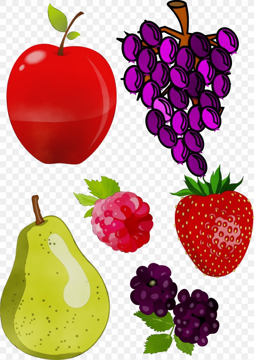 Tree Watercolor, PNG, 1355x1920px, Watercolor, Accessory Fruit, Berry, Eating, Food Download Free