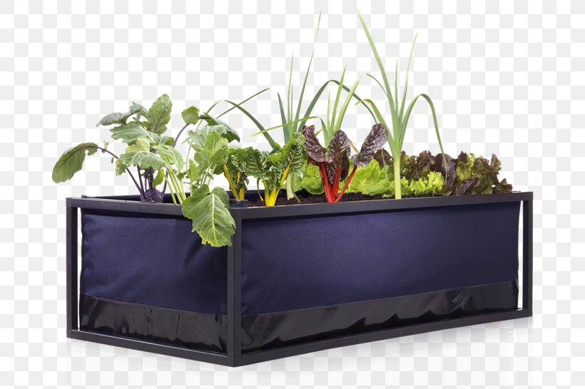 Urban Agriculture Raised-bed Gardening Food, PNG, 796x545px, Urban Agriculture, Agriculture, Aquaponics, Bed, Flowerpot Download Free