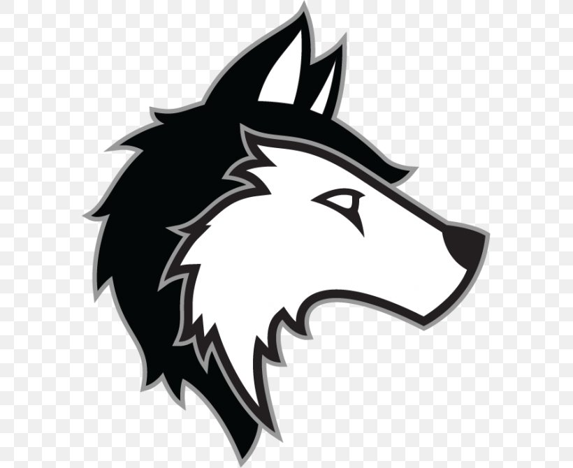 Gray Wolf Siberian Husky Clip Art, PNG, 585x670px, Gray Wolf, Black, Black And White, Carnivoran, Drawing Download Free