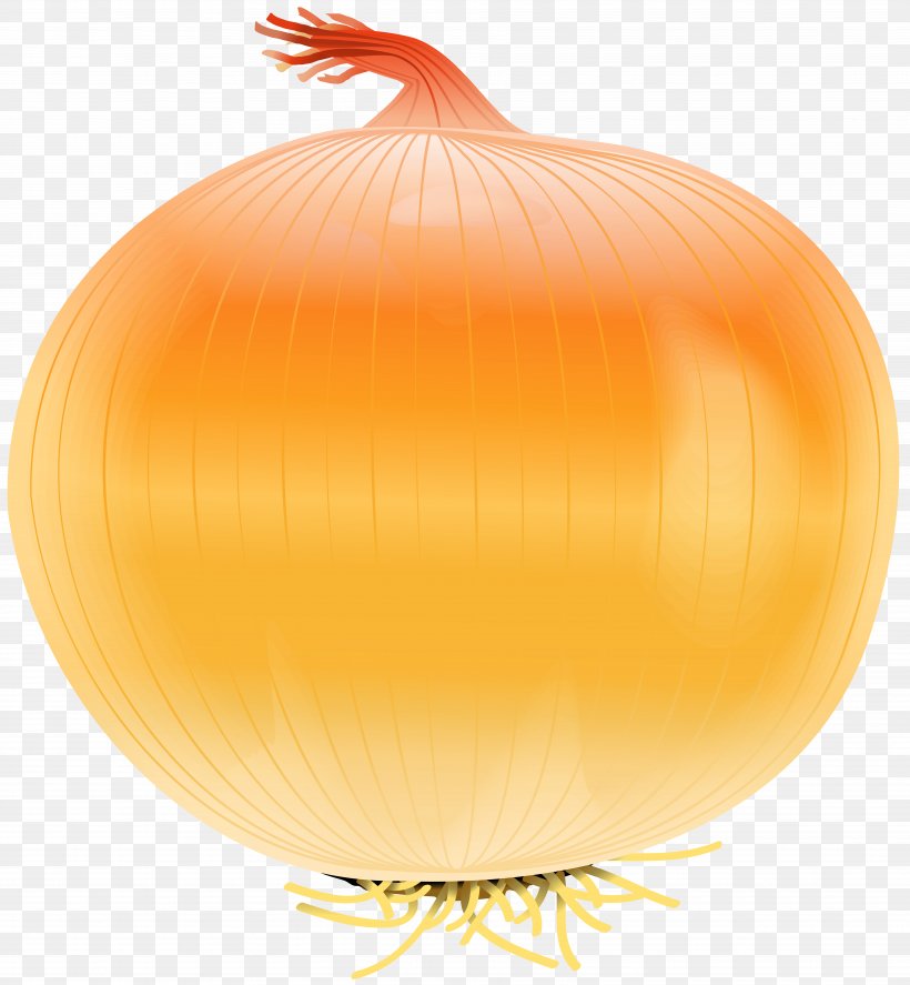 Yellow Onion Vegetable Calabaza Clip Art, PNG, 7394x8000px, Onion, Calabaza, Cucurbita, Food, Fruit Download Free