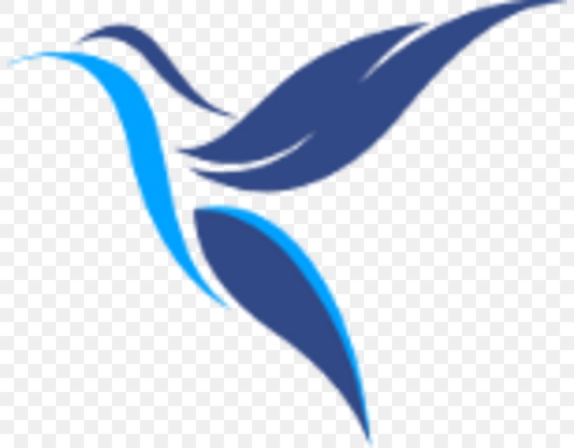 Bird Logo Clip Art, PNG, 800x640px, Bird, Beak, Blue, Idea, Logo Download Free