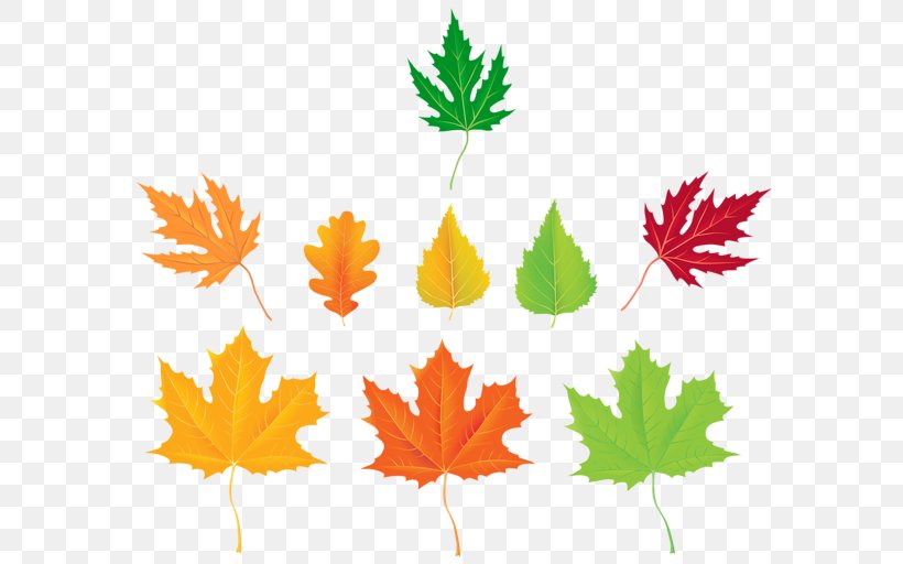 Maple Leaf Clip Art, PNG, 600x512px, Leaf, Art, Autumn, Autumn Leaf Color, Branch Download Free