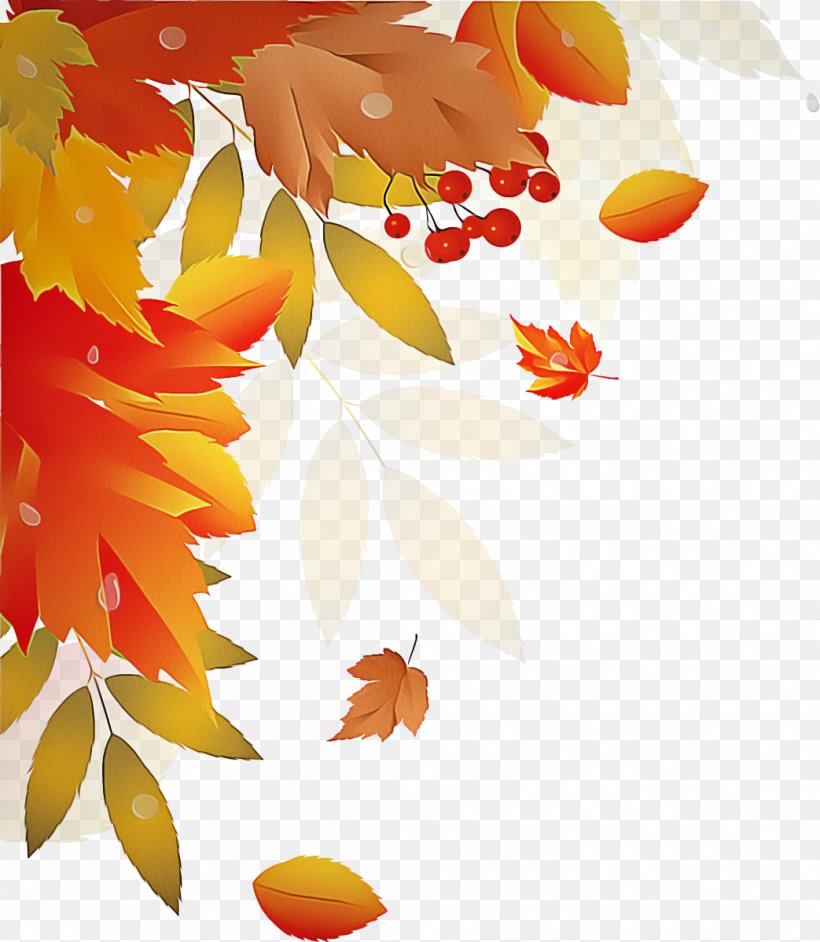 Orange, PNG, 1043x1199px, Leaf, Autumn, Flower, Orange, Plant Download Free