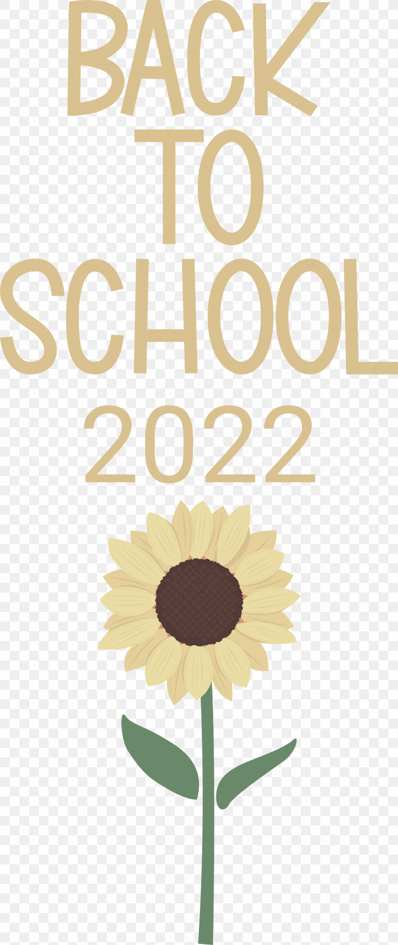 Back To School Back To School 2022, PNG, 1264x3000px, Back To School, Cut Flowers, Daisy Family, Floral Design, Flower Download Free